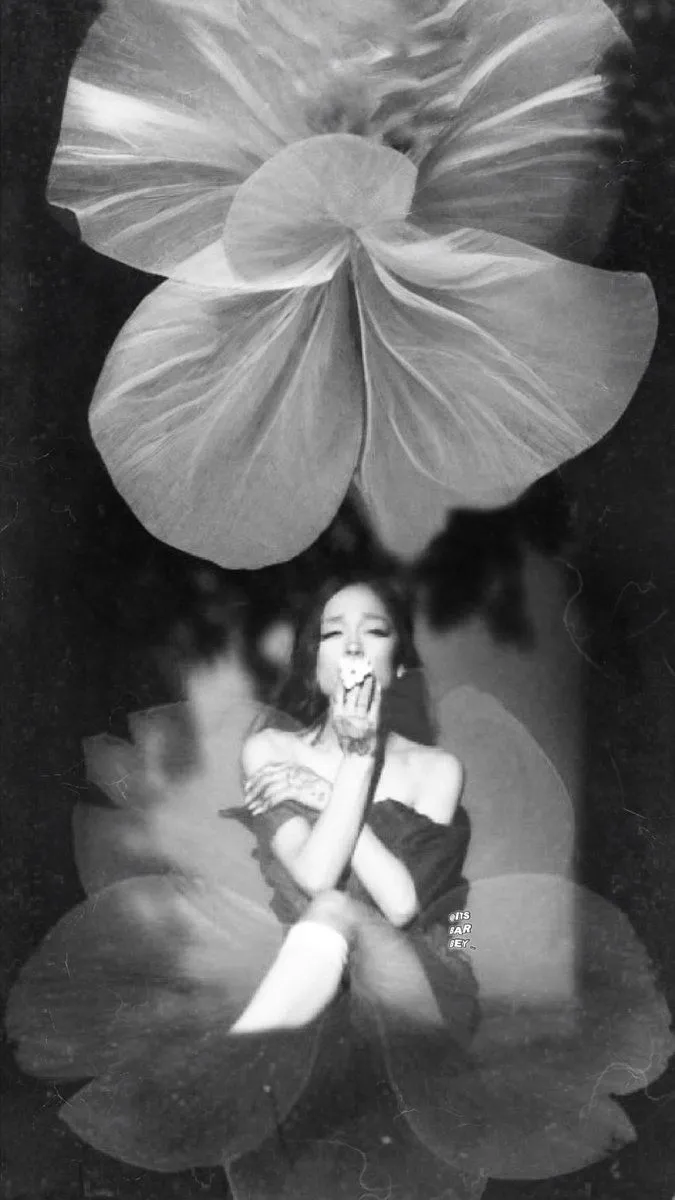 Ariana Grande petal wallpaper