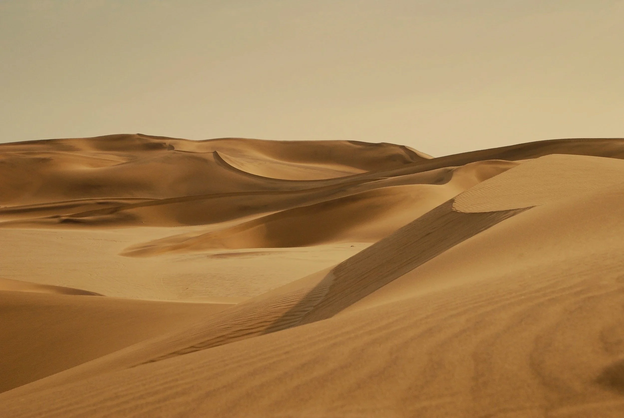 Ty Watches the for Dune: Part Three