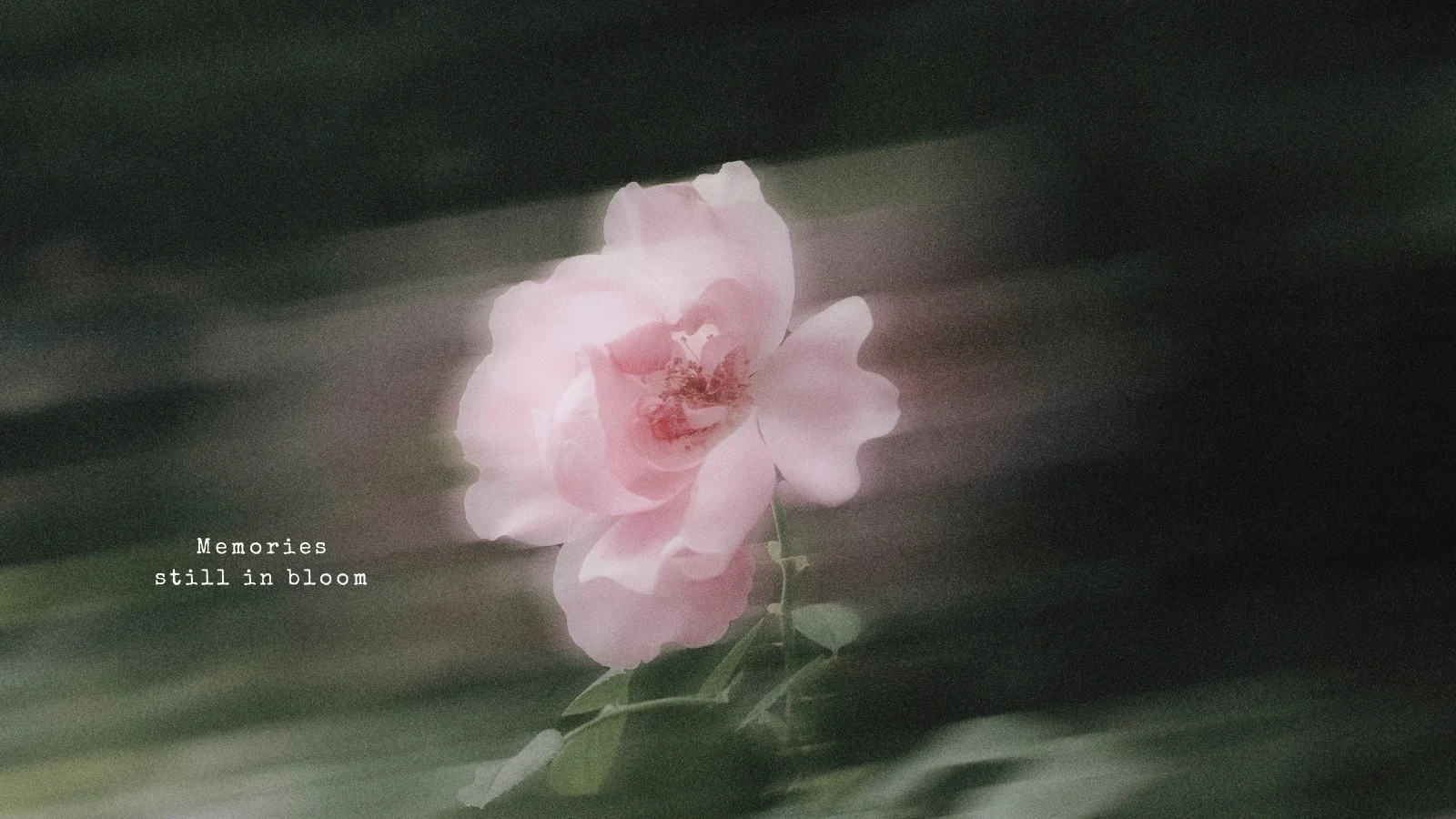 Free pink aesthetic desktop wallpaper
