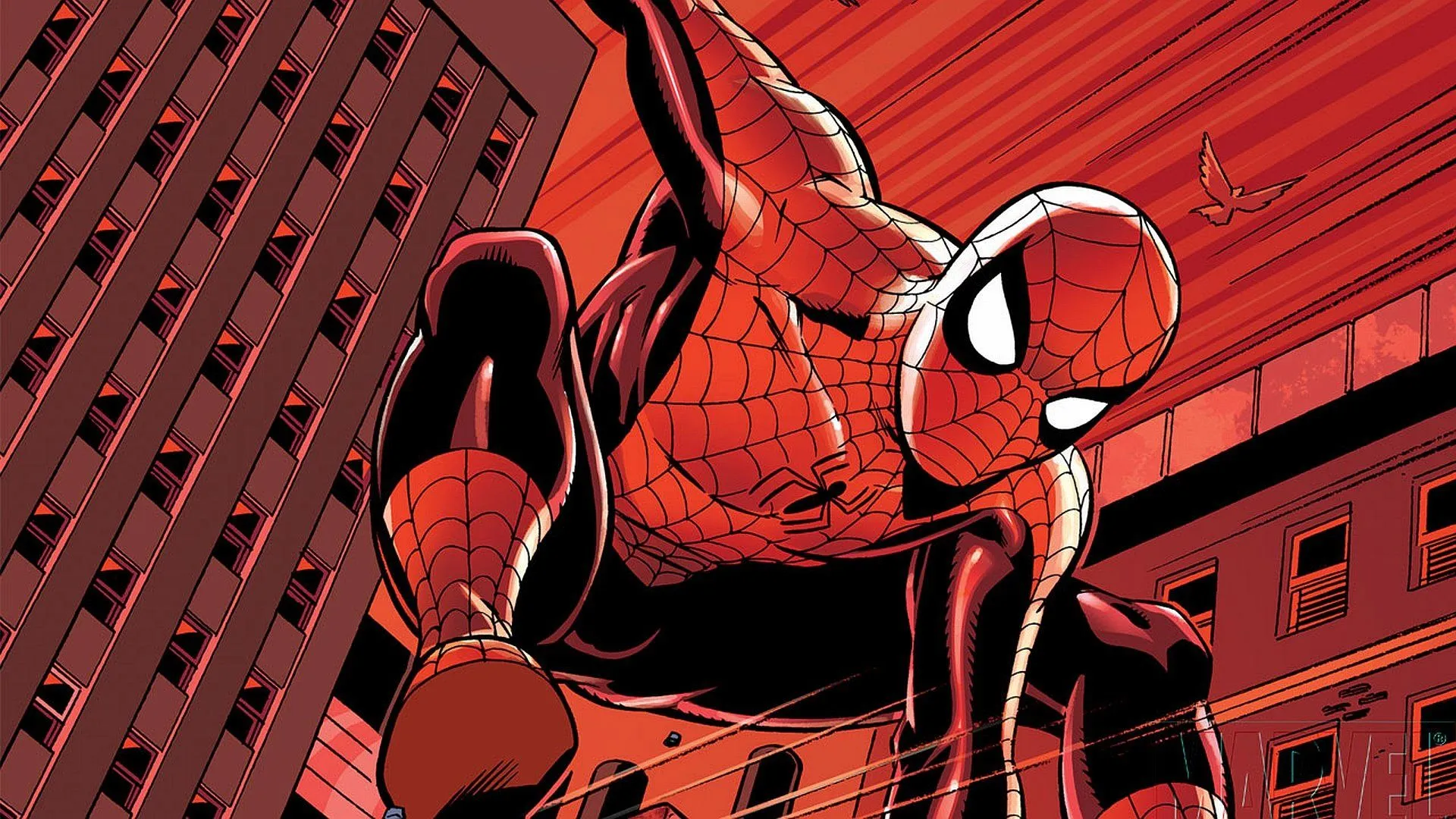 Spider Man Comic Hero HD Wallpaper: Urban Web Slinging Actionx1080