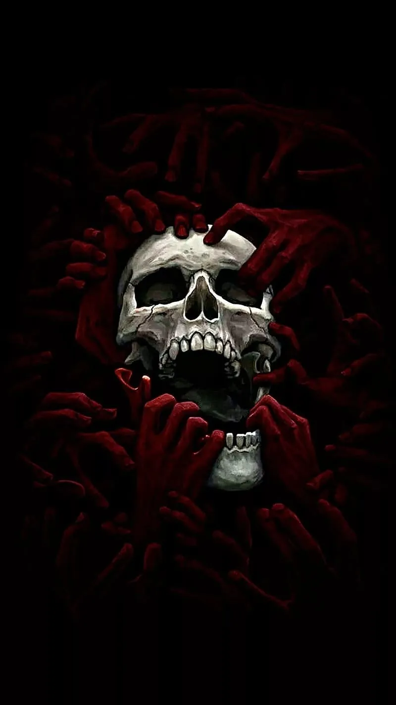 Danger, White Skull, dangerous skull, HD phone wallpaper