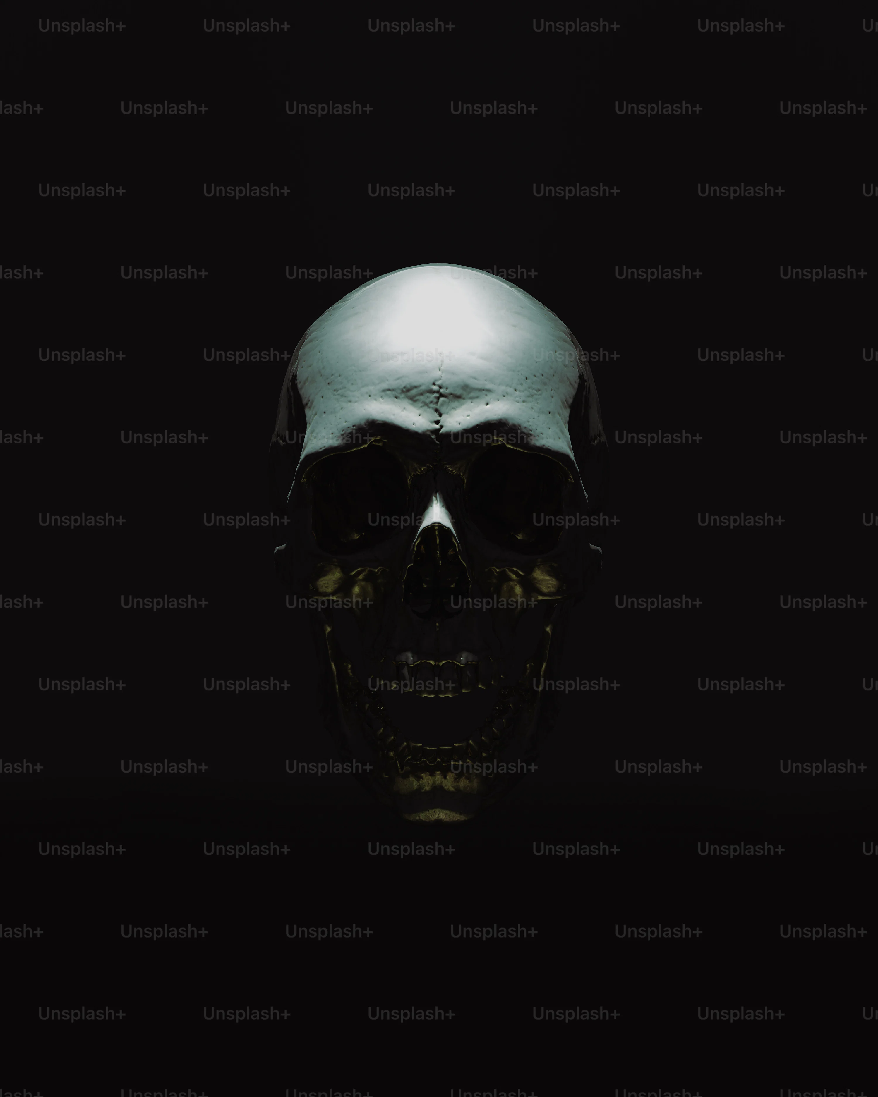 Dark Skull Picture. Download Free Image