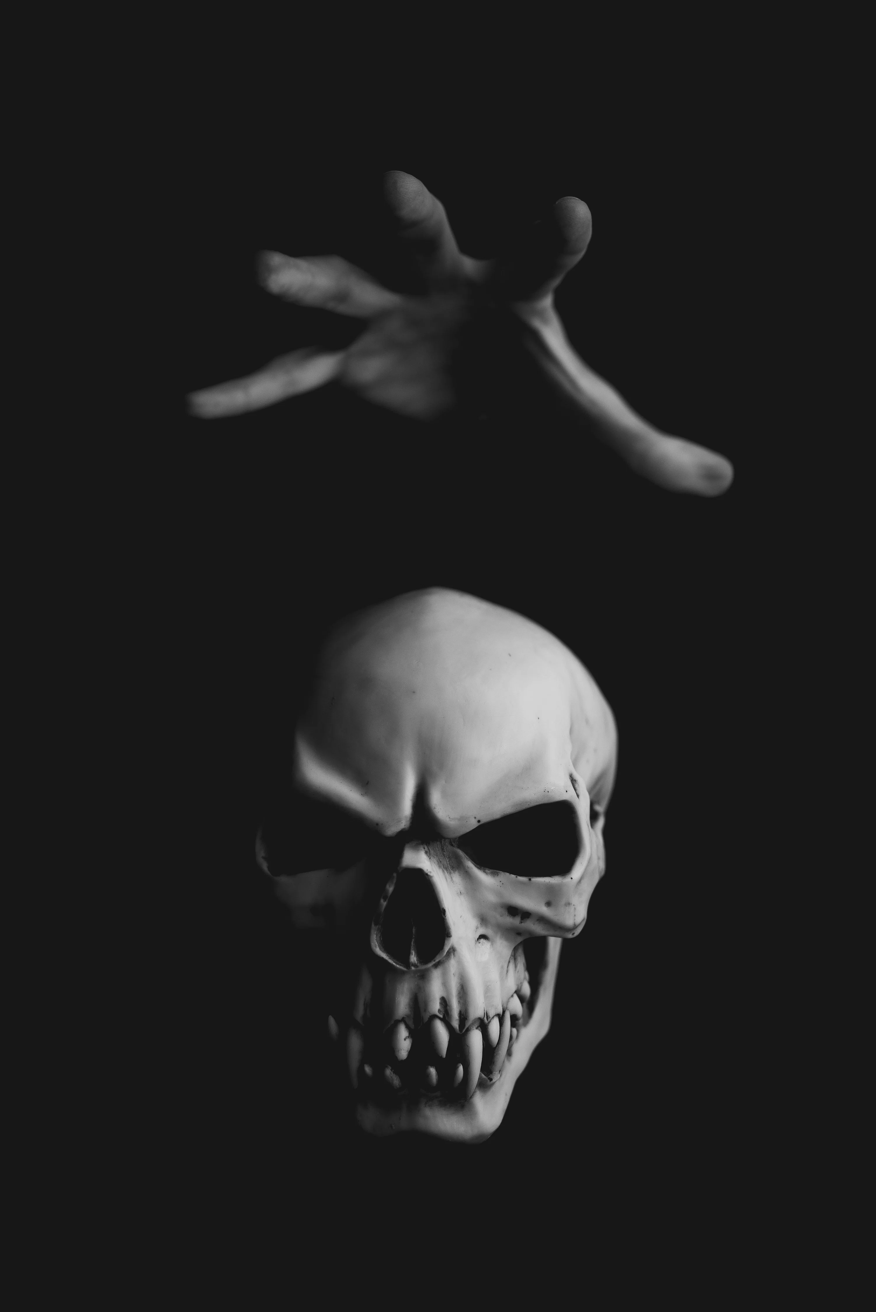 Skull Background Image: Free Image
