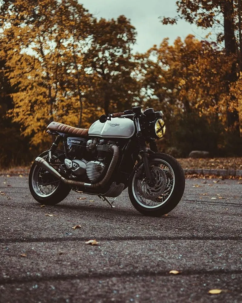 Triumph, cafe, motorcycle, racer, HD phone wallpaper