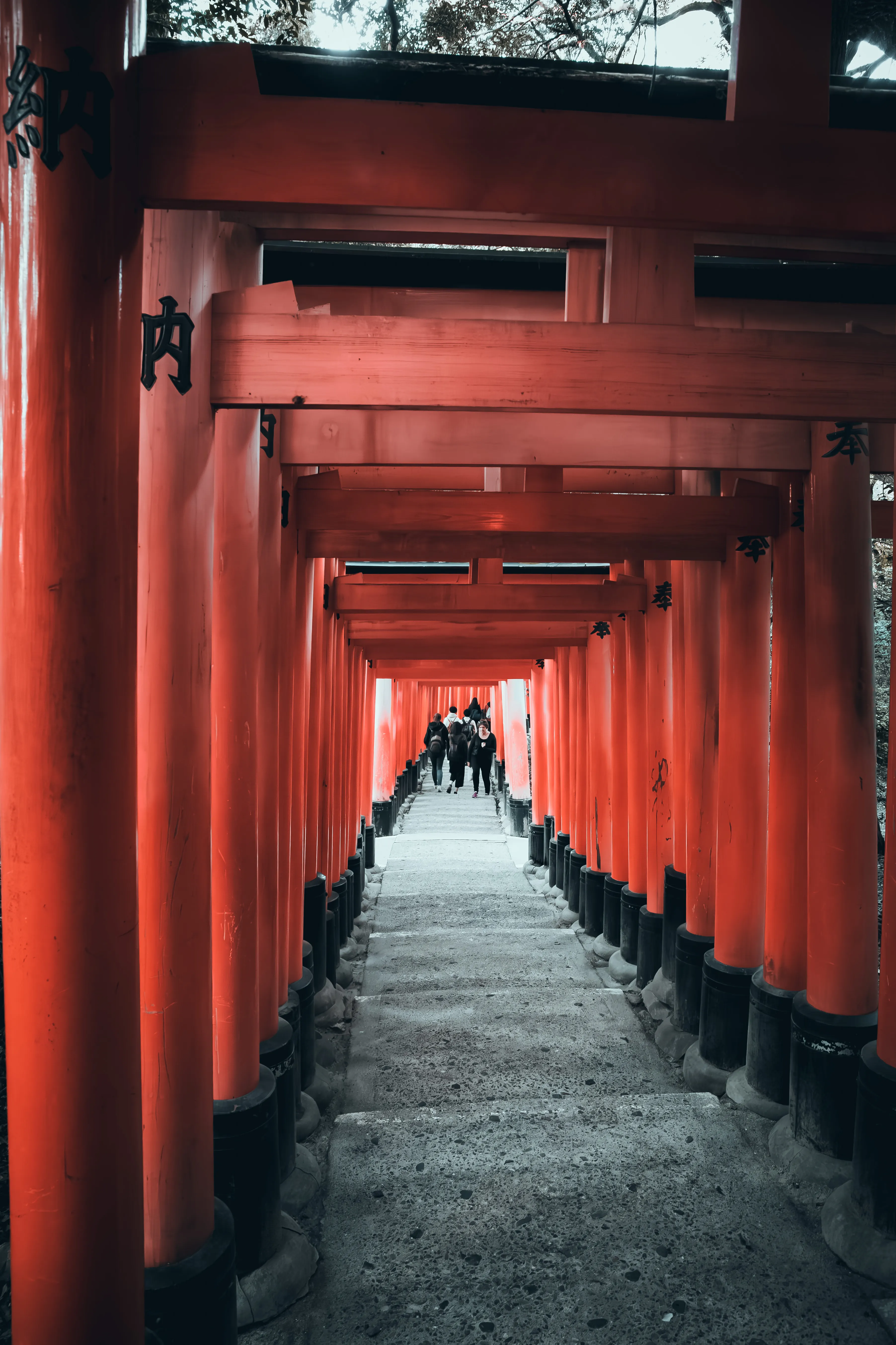 Minimal Black&White Japanese Torii Gate Photo, Download The BEST Free Minimal Black&White Japanese Torii Gate & HD Image