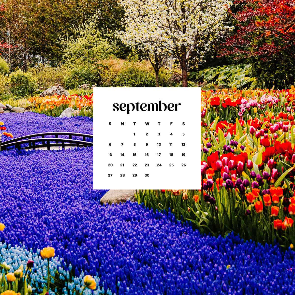 September 2026 wallpaper—48 desktop & phone freebies!