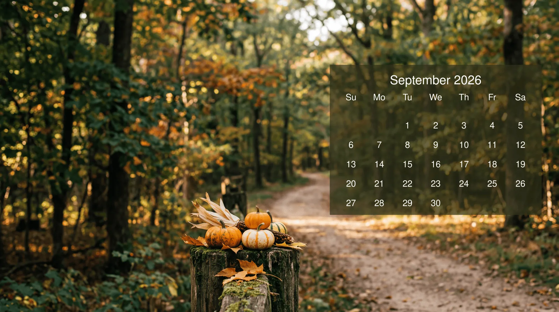September 2026: Autumn Stroll