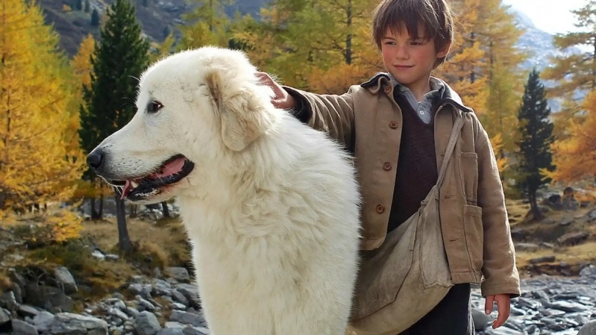 Belle and Sebastian, covers, wallpaper