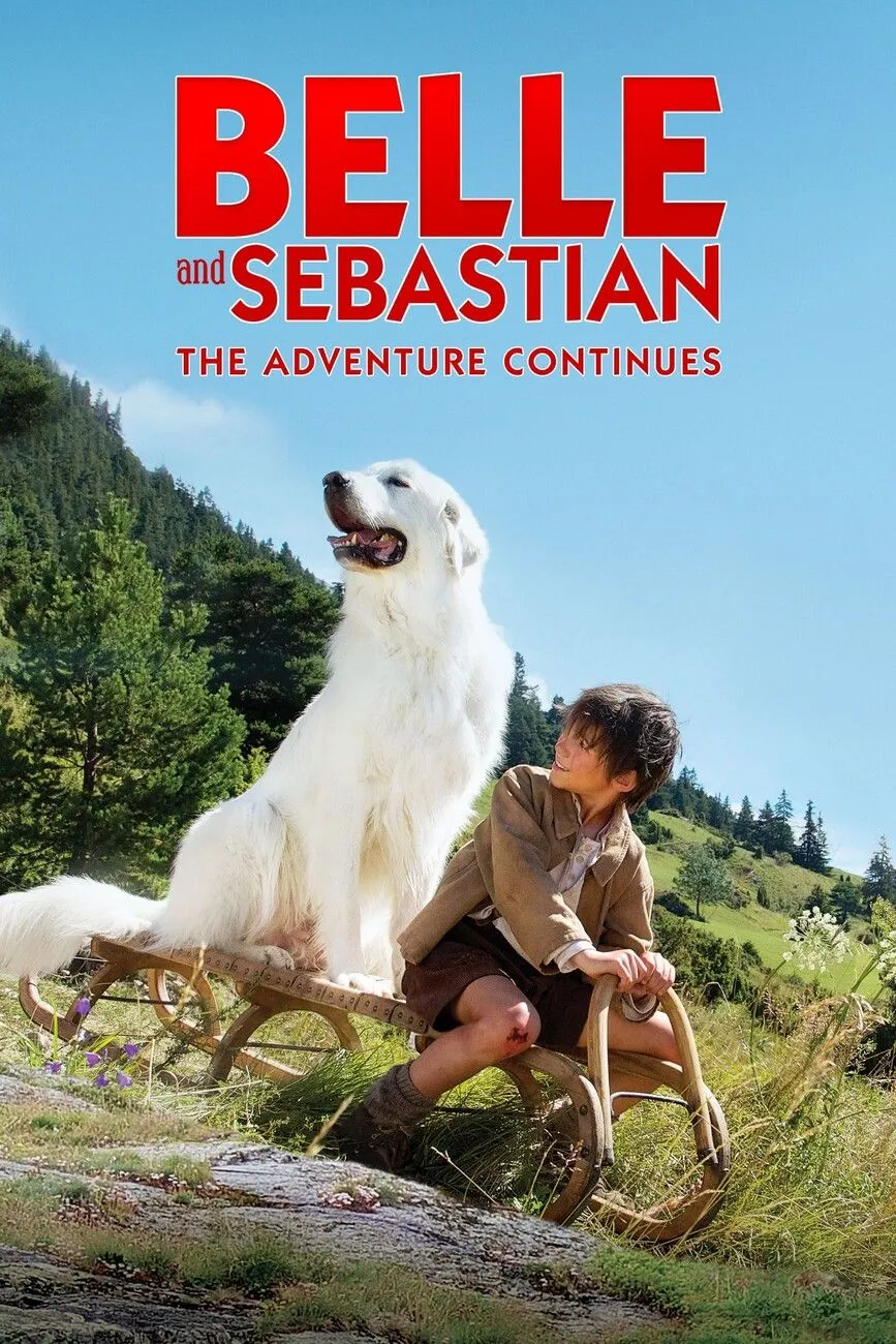 T Shirt Belle And Sebastian The Adventure Continues