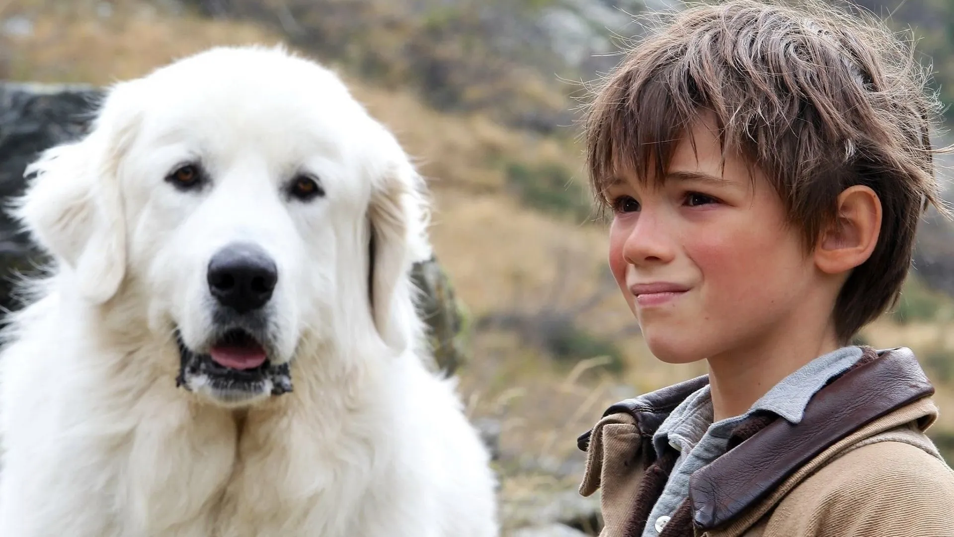 Belle & Sebastian. Where to watch streaming and online in New Zealand