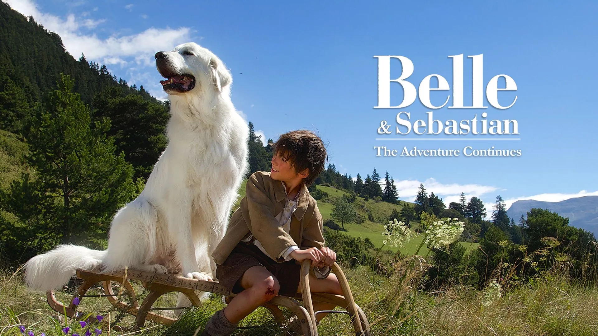 Watch Belle and Sebastian