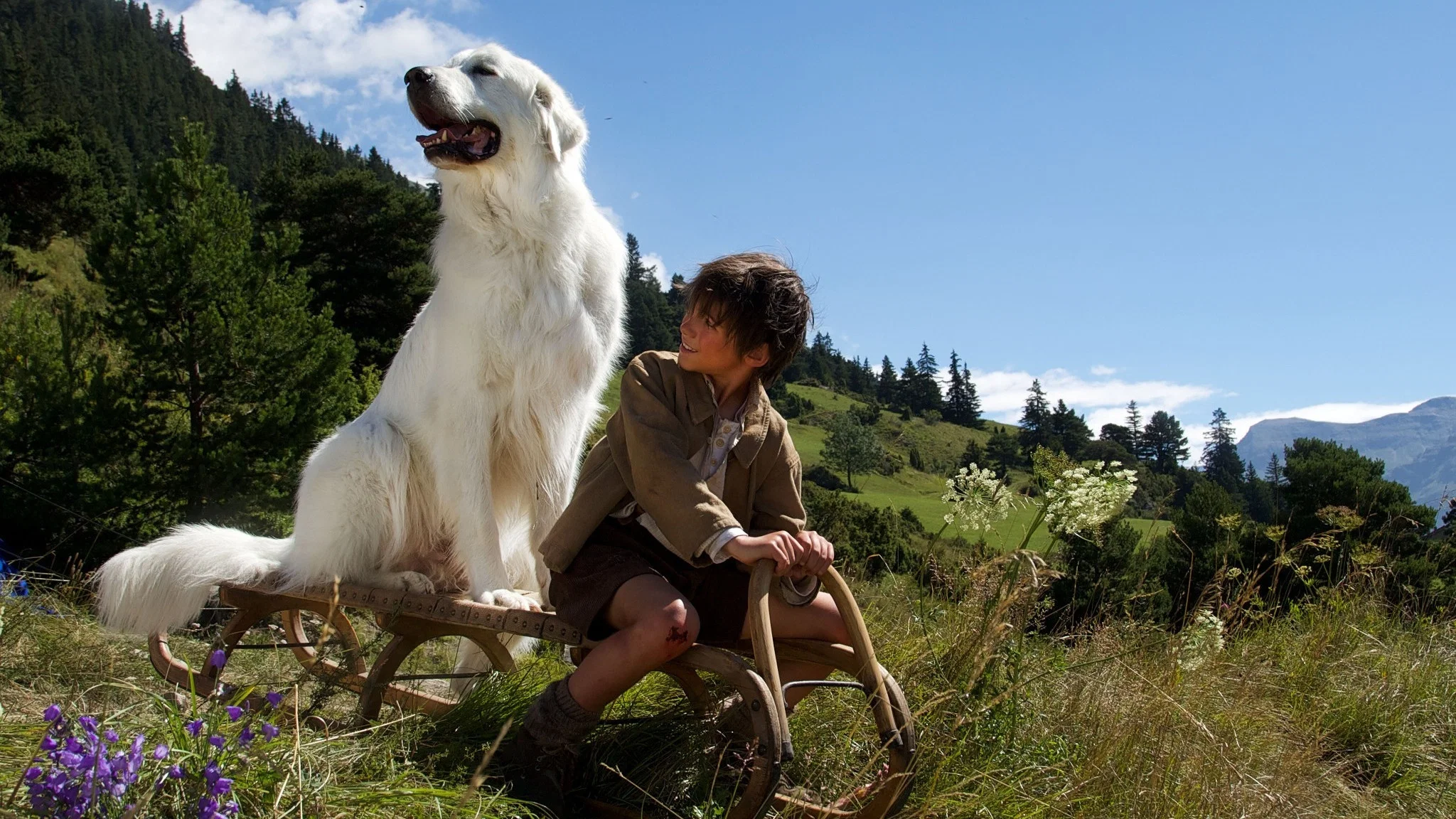 Belle and Sebastian: The Adventure Continues
