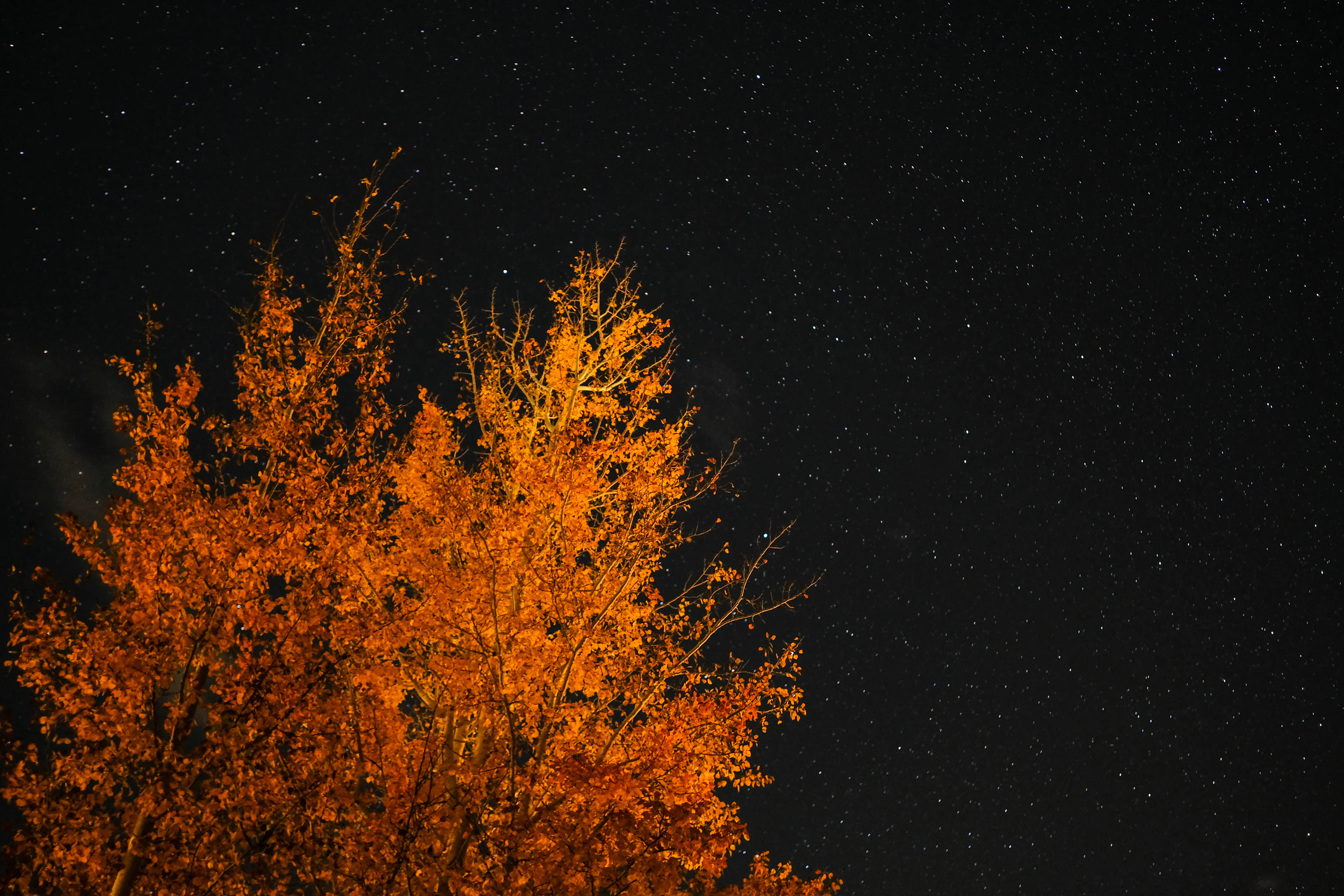 Autumn Night Picture. Download Free Image