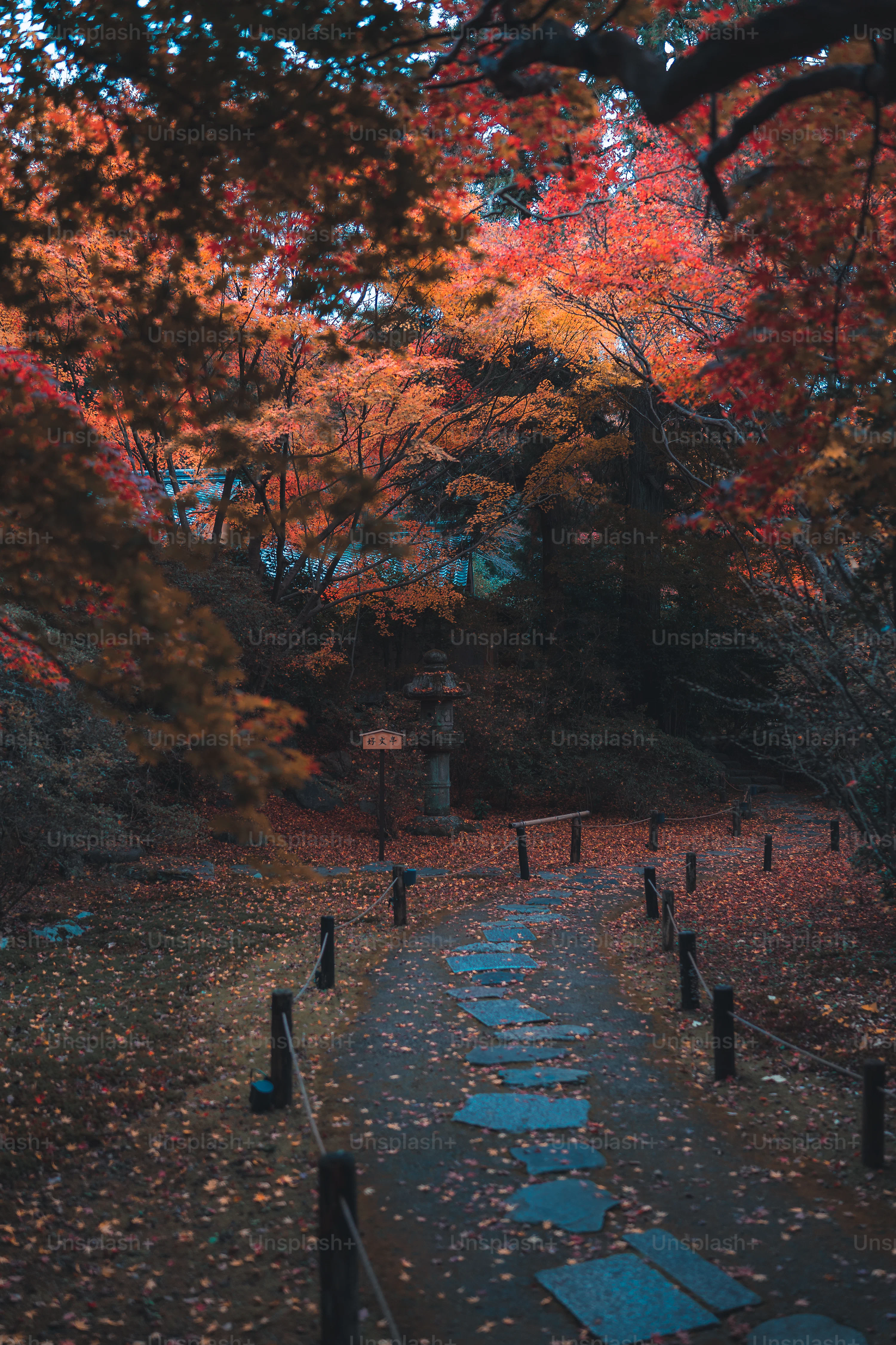 Aesthetic Fall Picture. Download Free Image
