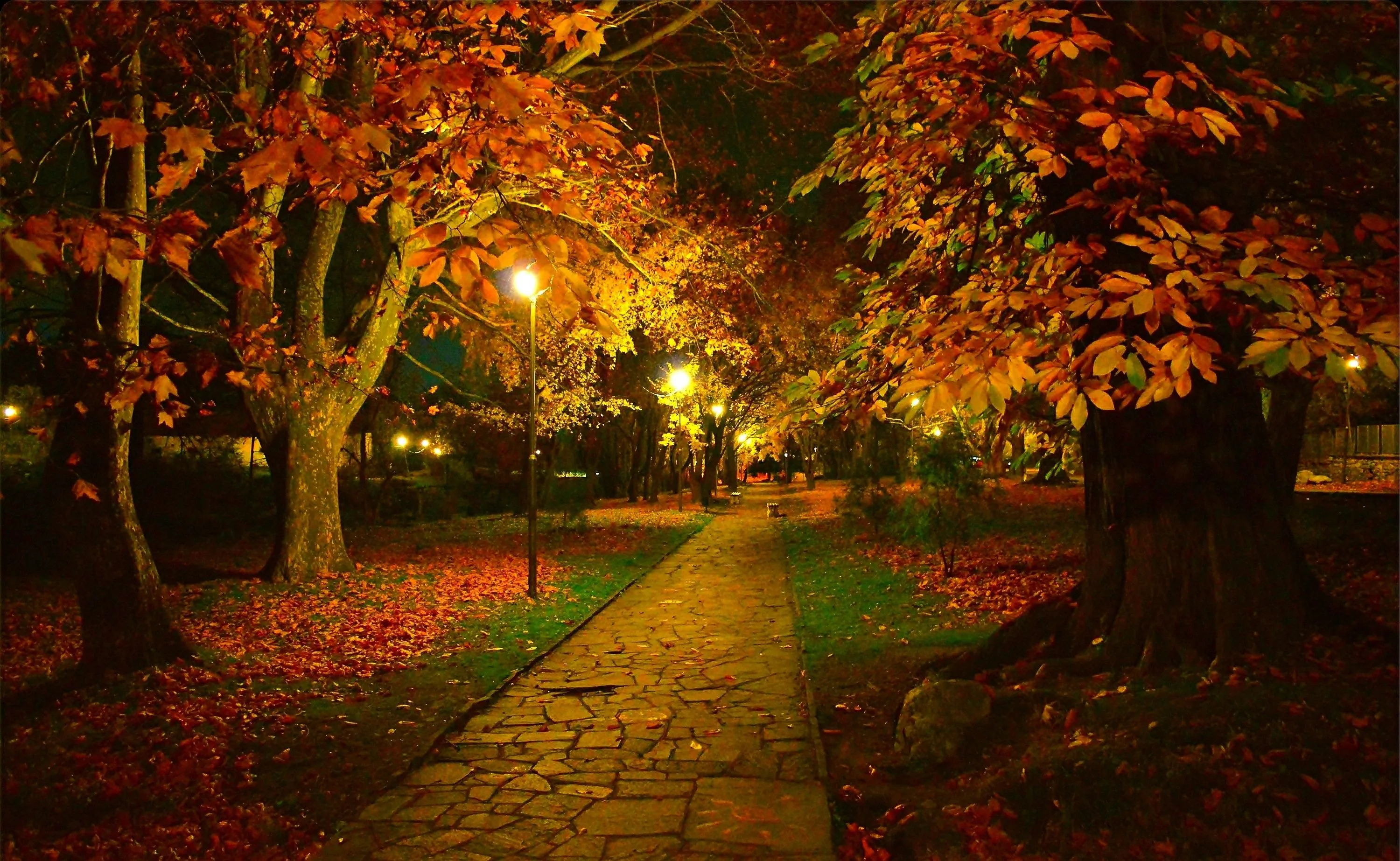 Wallpaper autumn, trees, night, Park, foliage, colors, lights, track for mobile and desktop, section природа, resolution 3000x1845