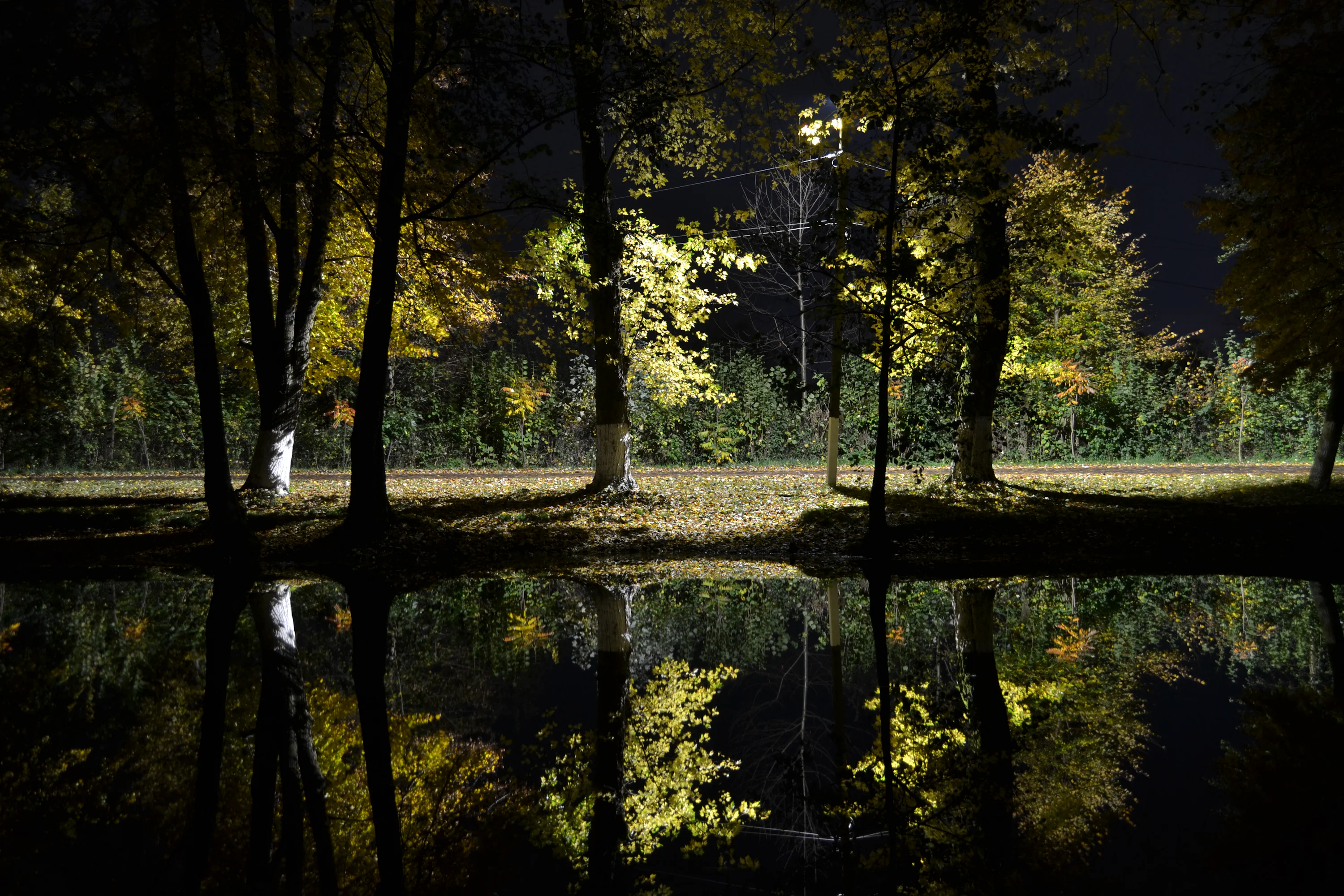 Fall Night Picture. Download Free Image