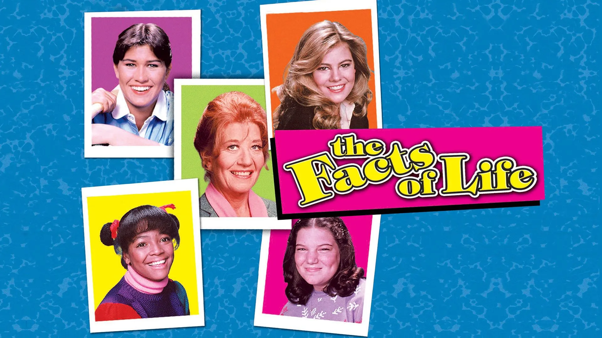 Watch The Facts Of Life Season 3