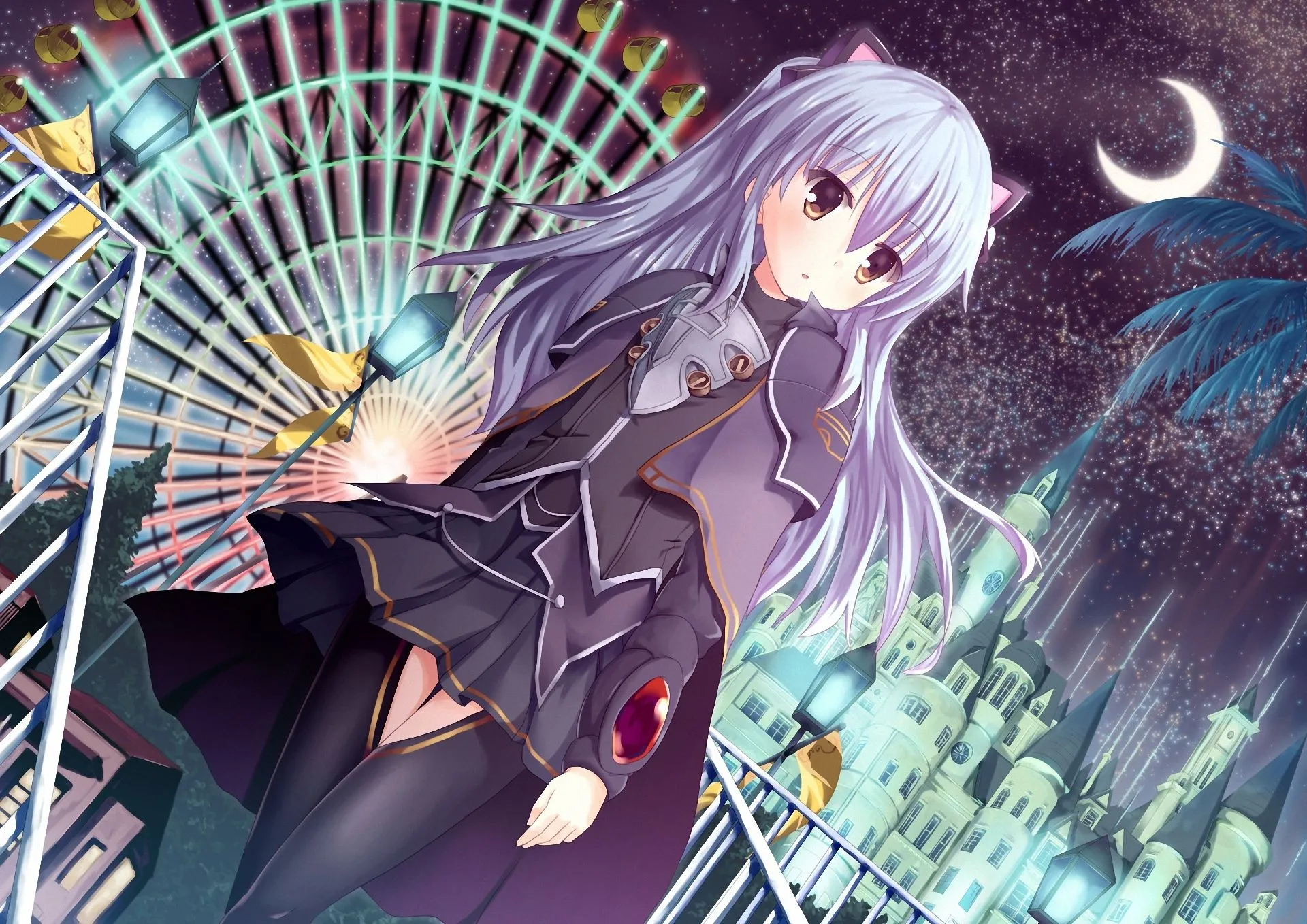 Wallpaper night, the city, art, attraction, girl, Ferris wheel, ears, neko for mobile and desktop, section сэйнэн, resolution 1920x1358