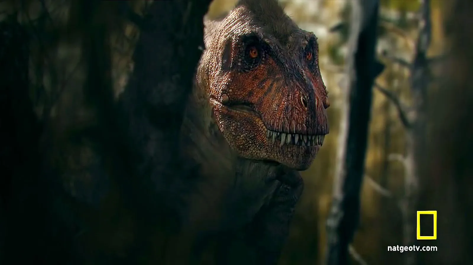 Gorgosaurus. Image - Behance