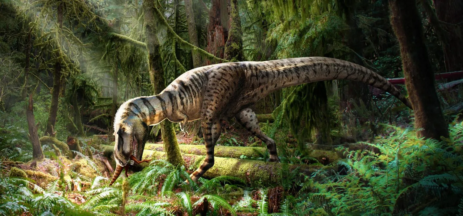 What's for dinner? UCalgary paleontologist finds out through remarkable specimen. News. University of Calgary