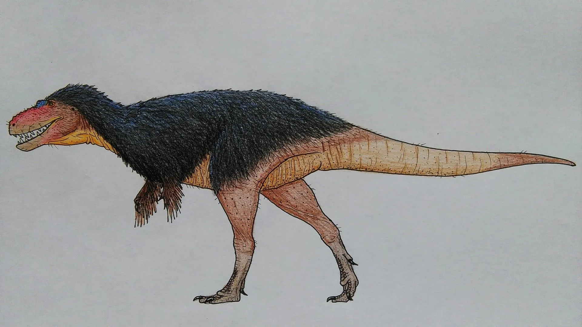 Gorgosaurus