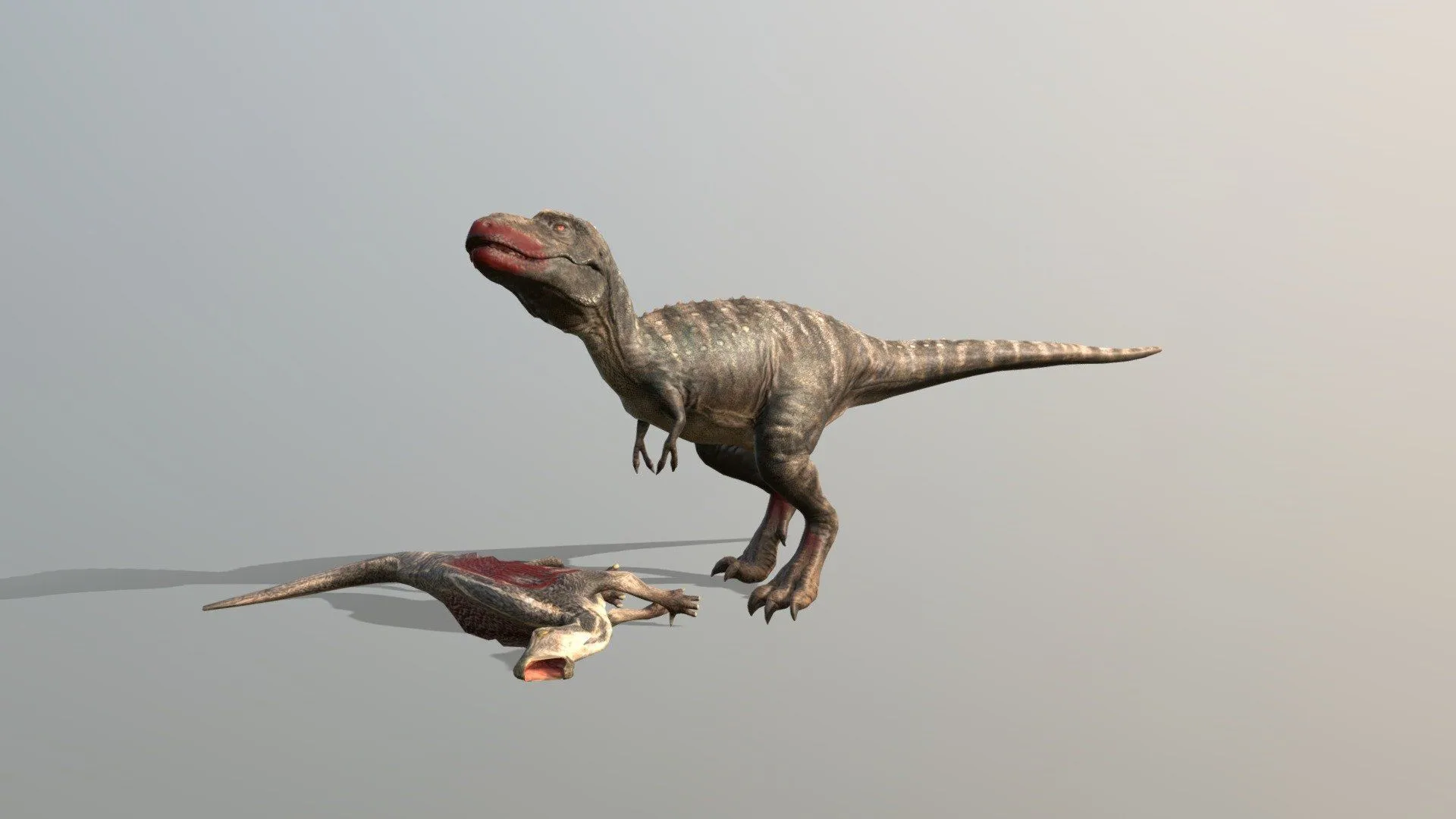 Gorgosaurus Eating Free 3D model by Nobilis the Palaeovespa [cfc2bc4]