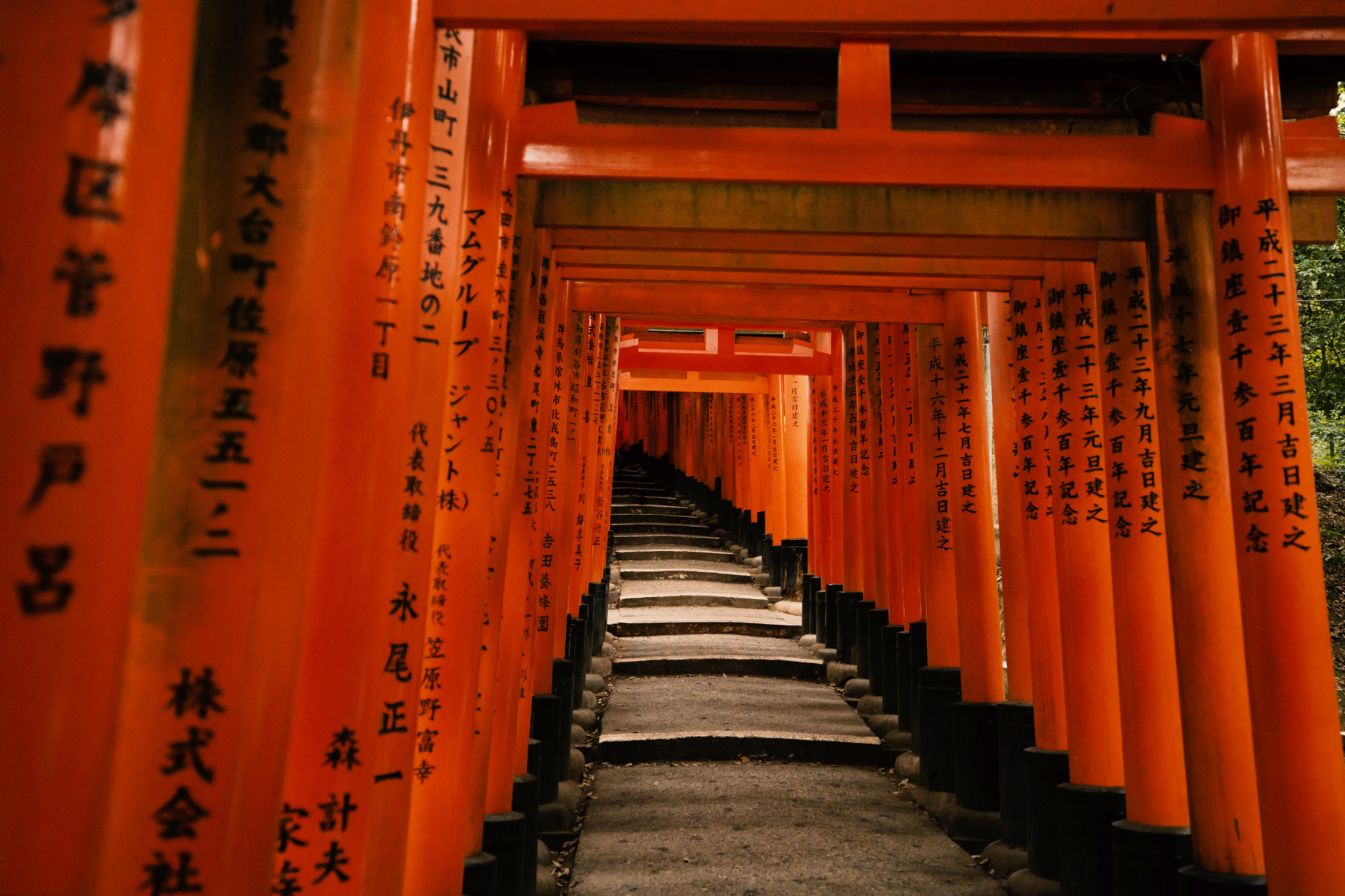 Torii Gate Picture. Download Free Image