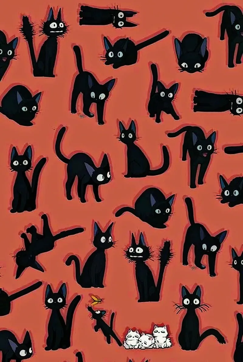 HD jiji the cat wallpaper