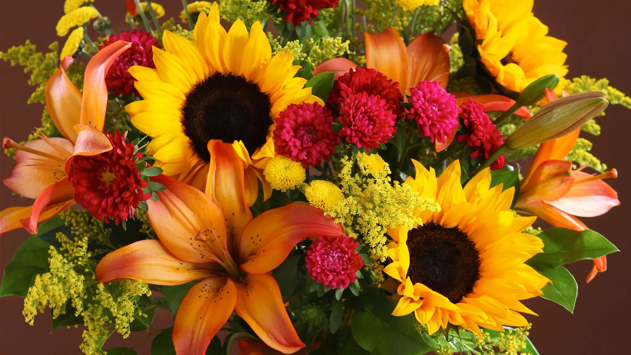 Download Yellow Flower Colorful Colors Lily Sunflower Nature Flower HD Wallpaperx1152