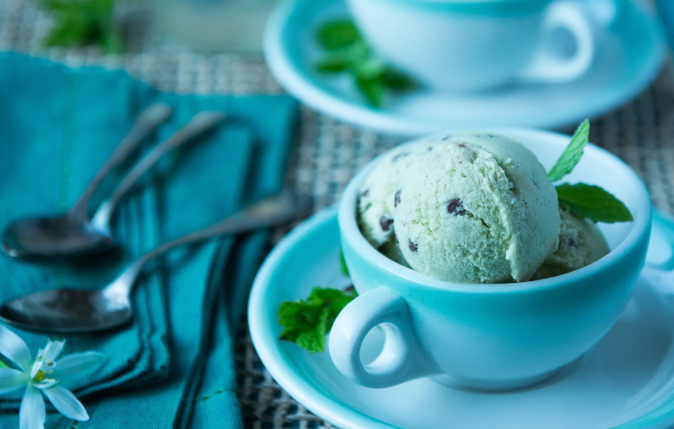 Mint Chocolate Chip Ice Cream. Nourishing Meals®