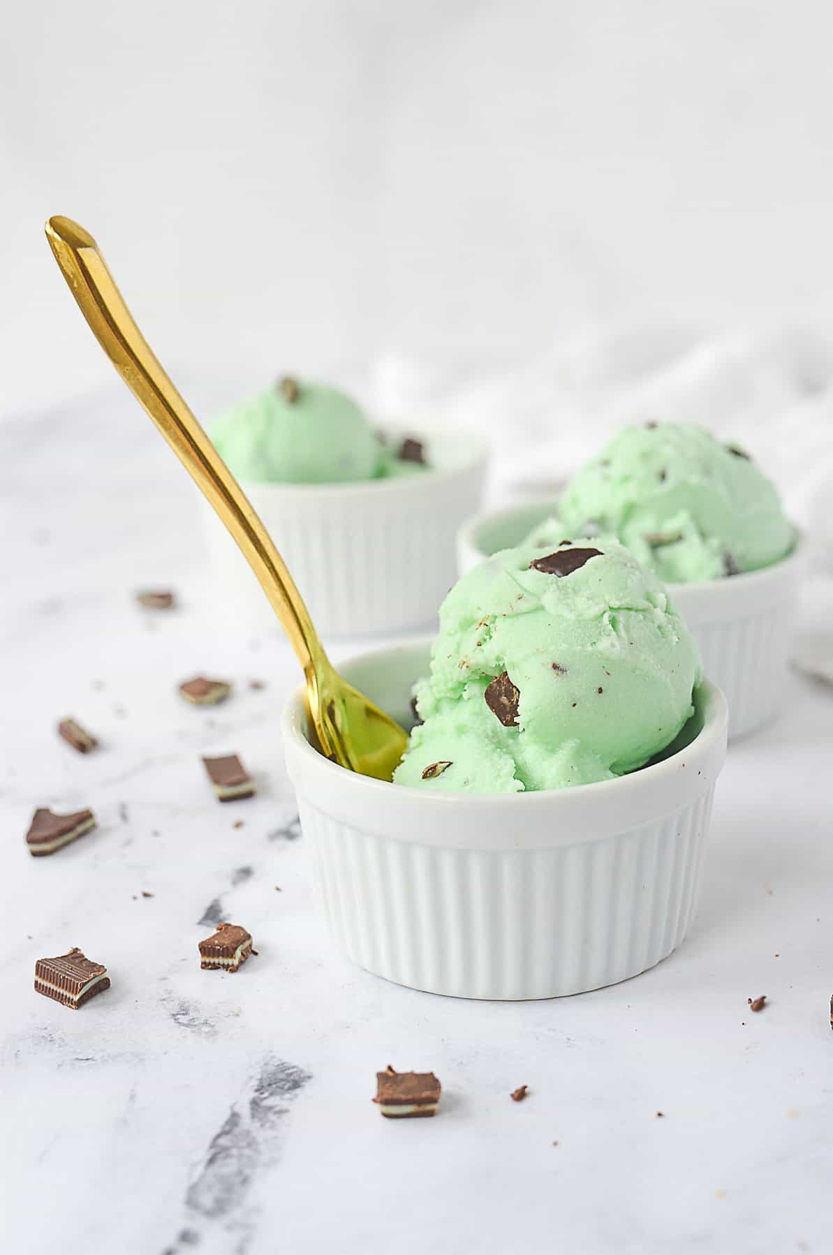 Mint Chocolate Chip Ice Cream