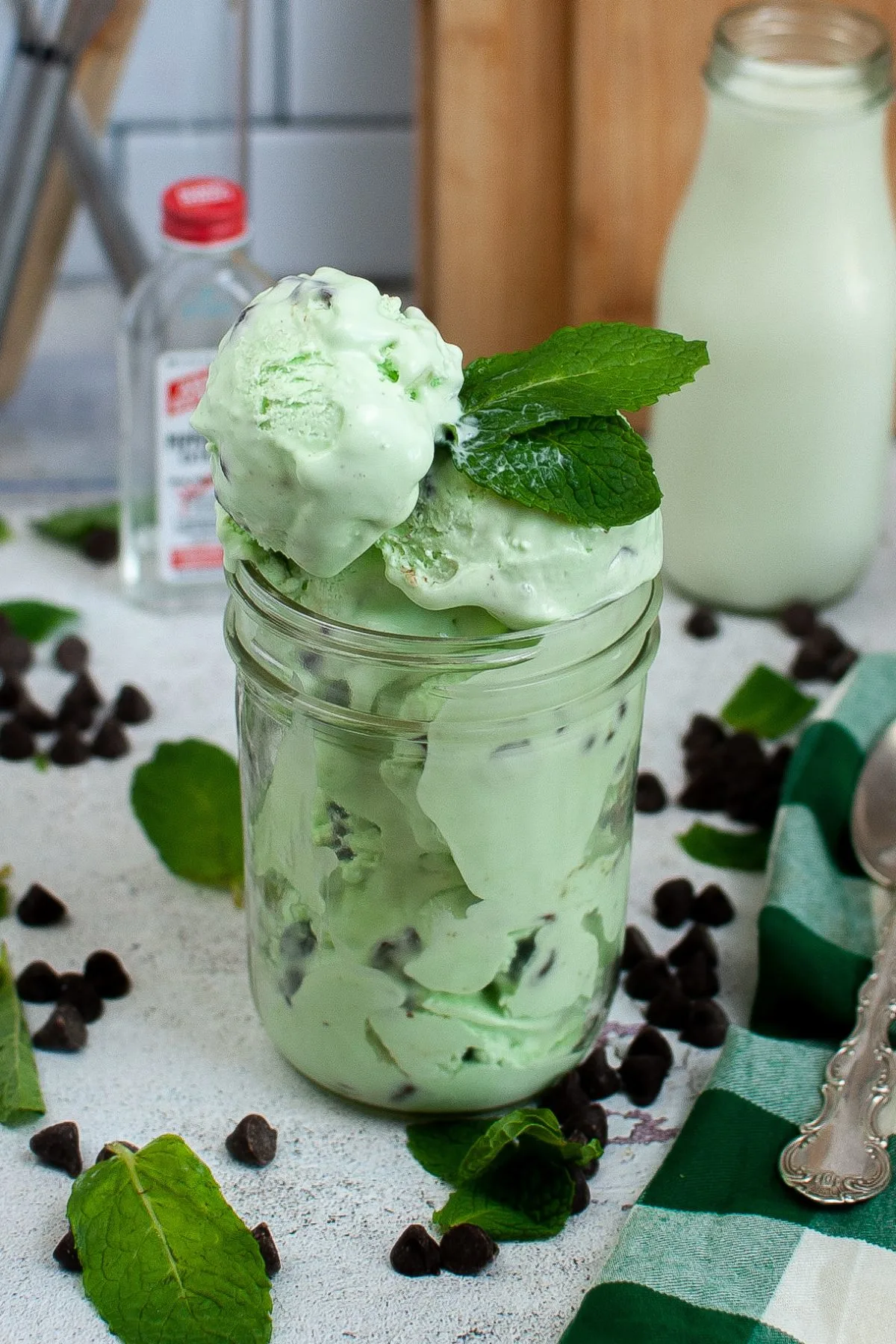 Best Mint Chocolate Chip Ice Cream Jar Recipe