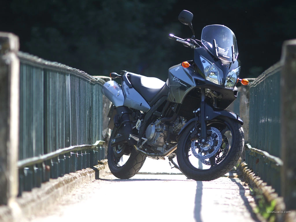 V STROM 650` Photo