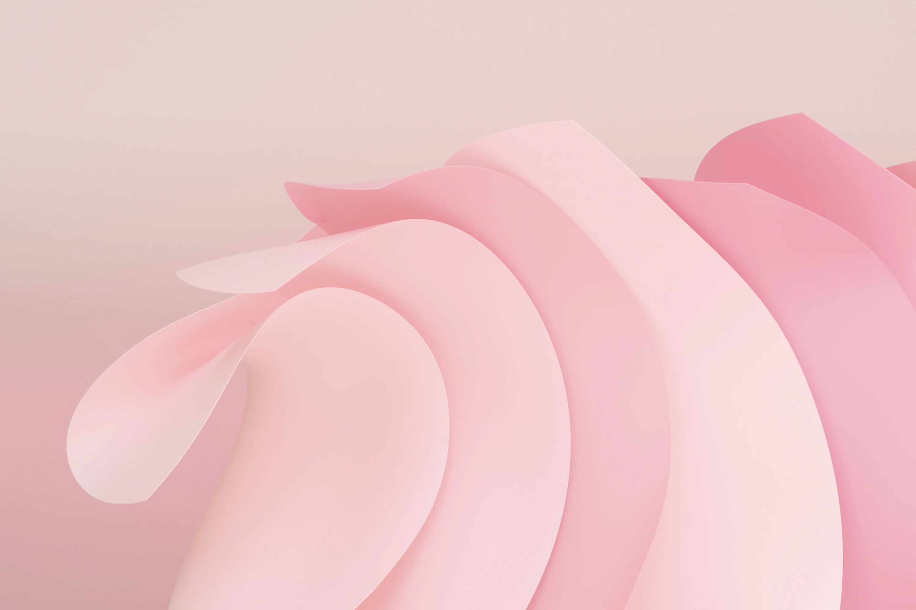 Girly Wallpaper: Free HD Download [4K]