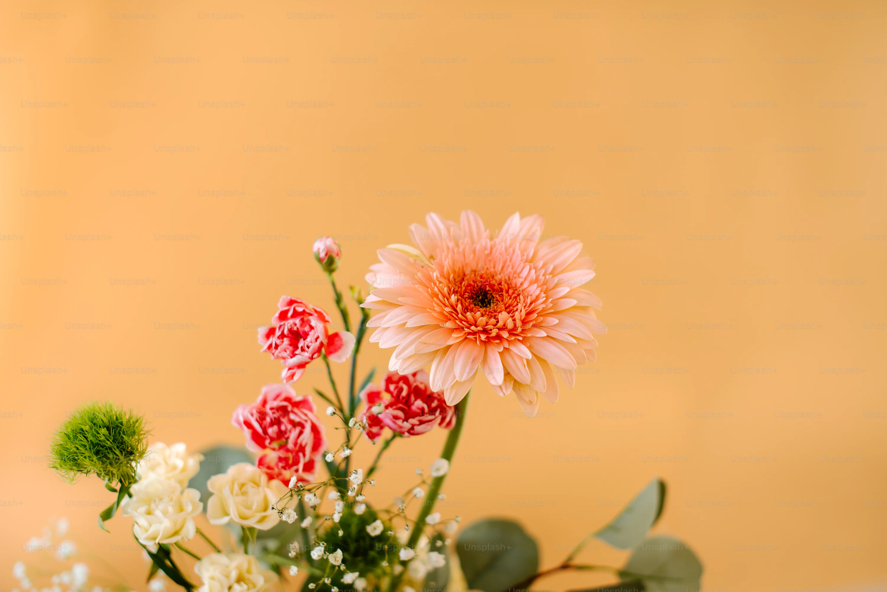Flowers Desktop Picture. Download Free Image