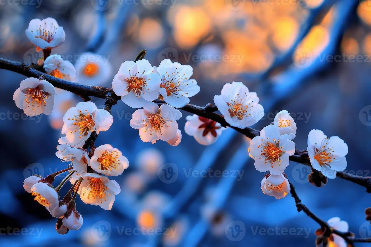 Beautiful flowers wallpaper HD wallpaper
