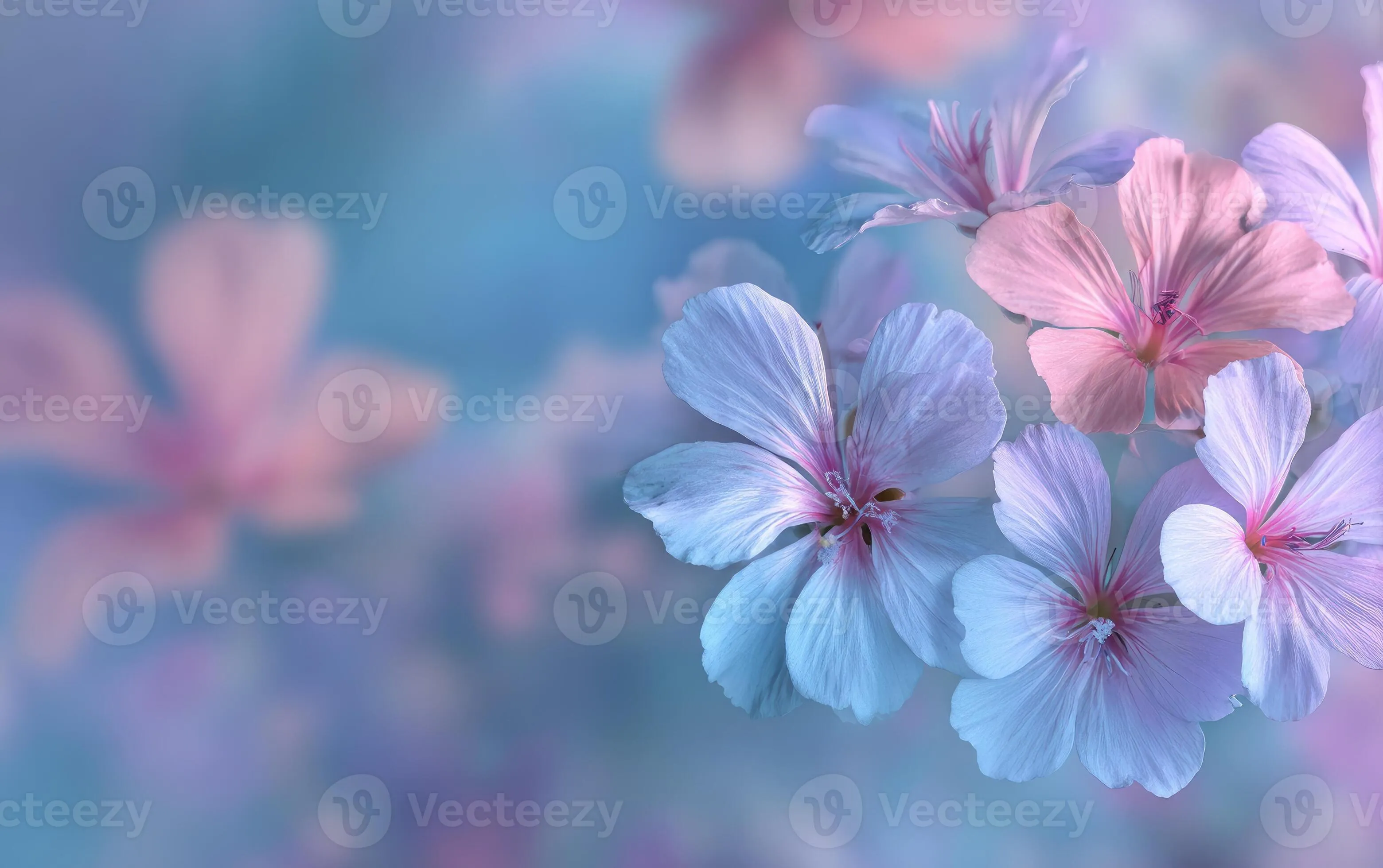 Beautiful flowers wallpaper HD wallpaper