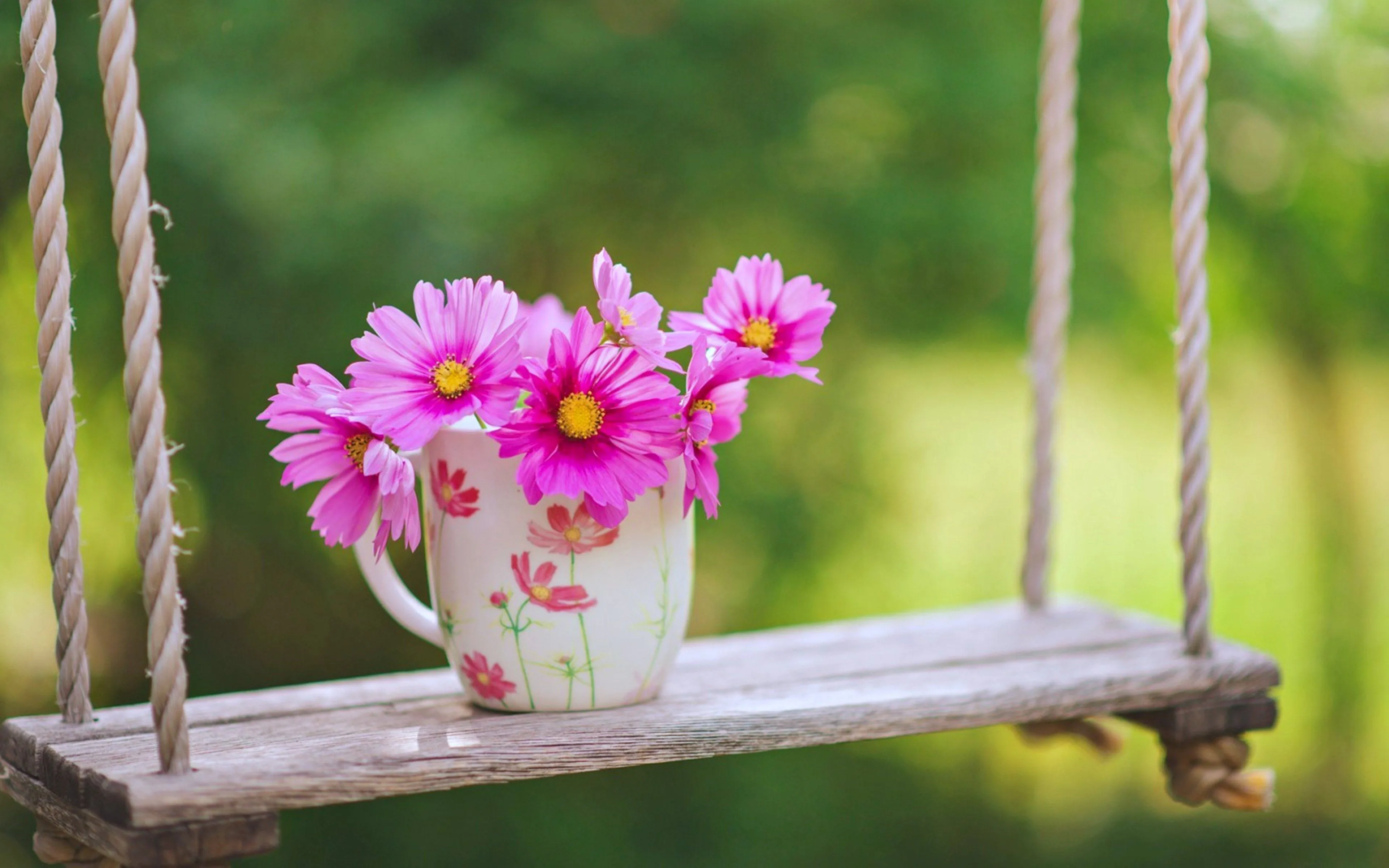 flowers, , Garden, , Landscape, , Love, , Nature, , Romantic, , Roses, , Spring, , Swing Wallpaper HD / Desktop and Mobile Background