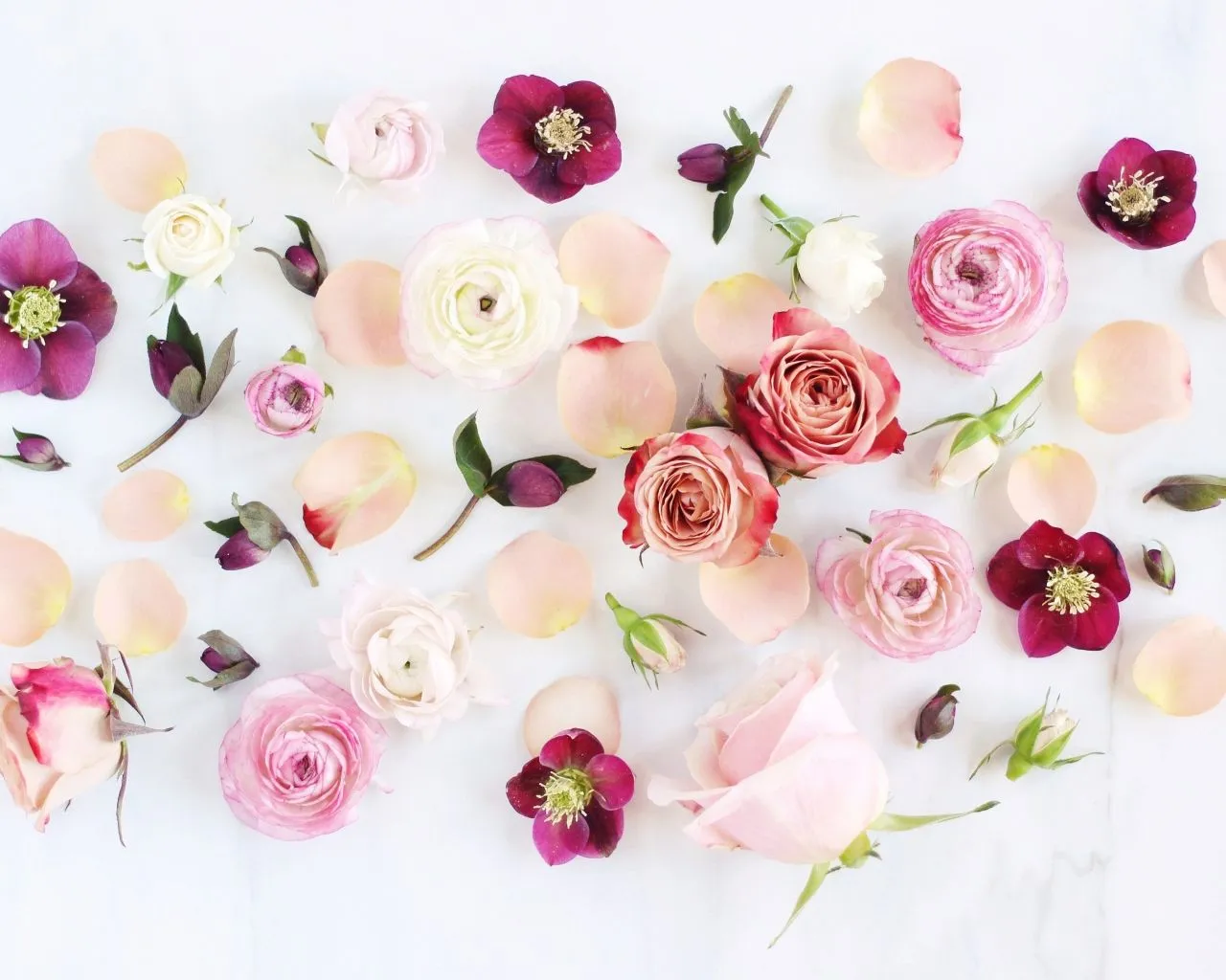 Cute Flower Wallpaper HD