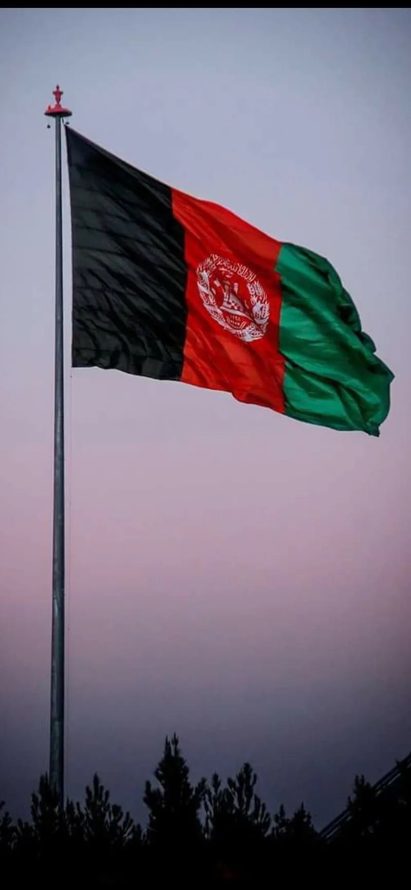 Afghanistan flag, afghan, aghanistan, HD phone wallpaper