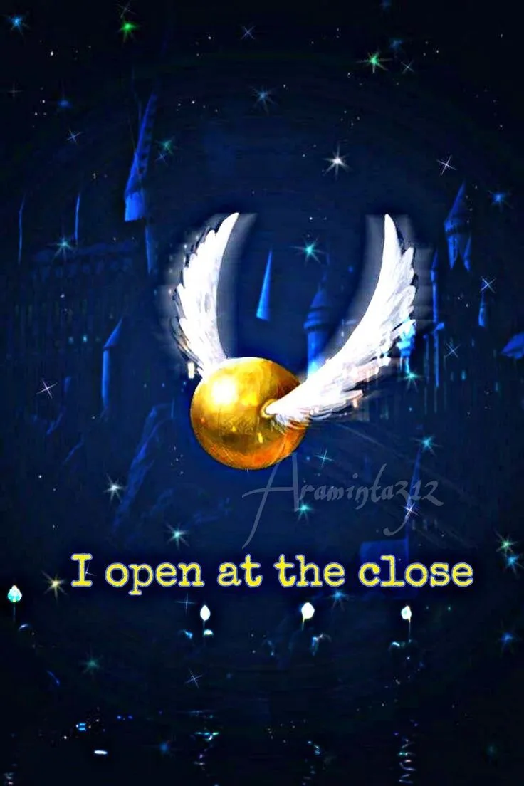The Golden Snitch Edit