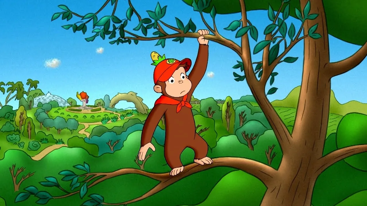 Lost In The Woods!