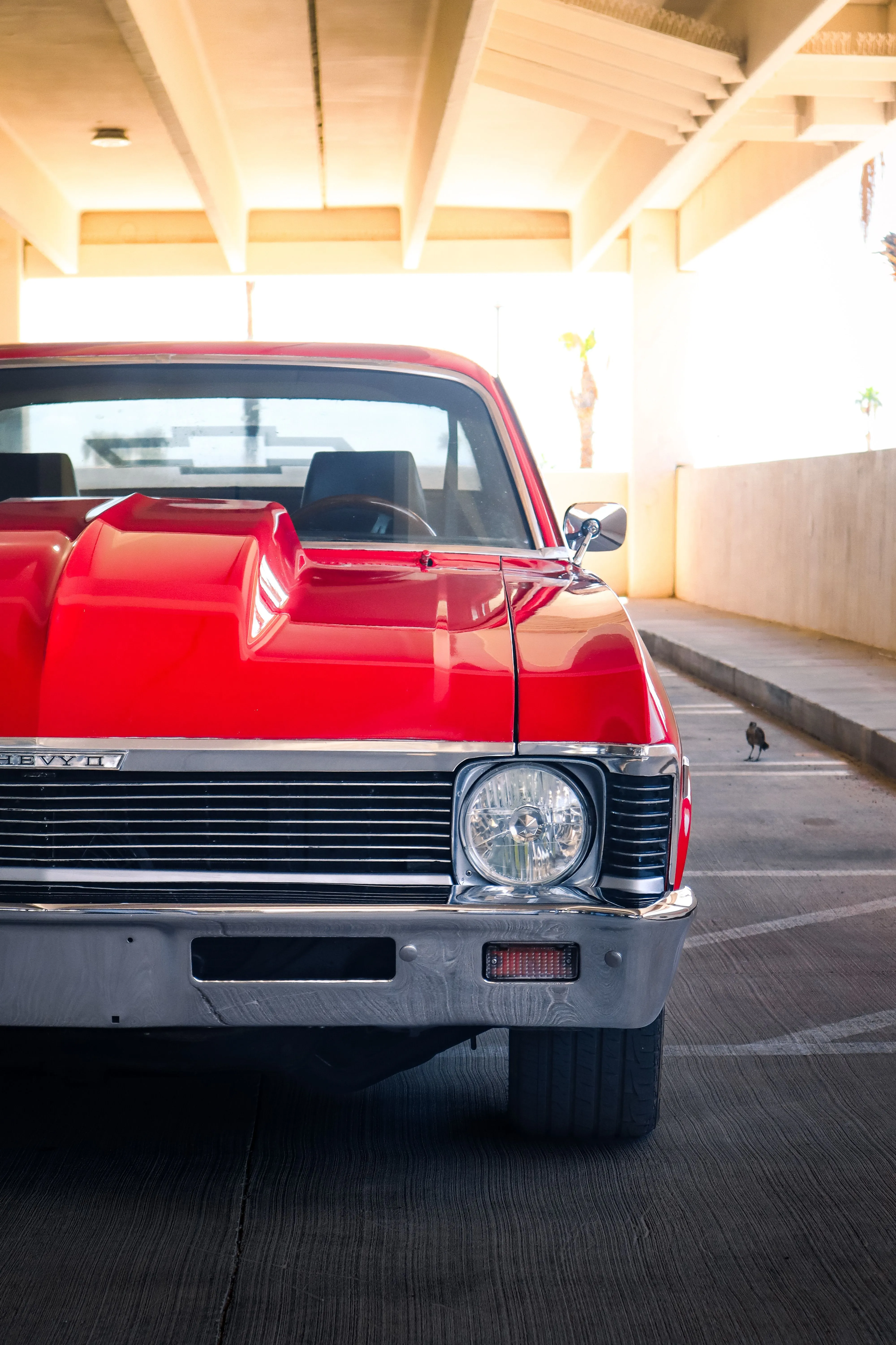 Close Up Of Classic Red Yenko Chevy Nova · Free