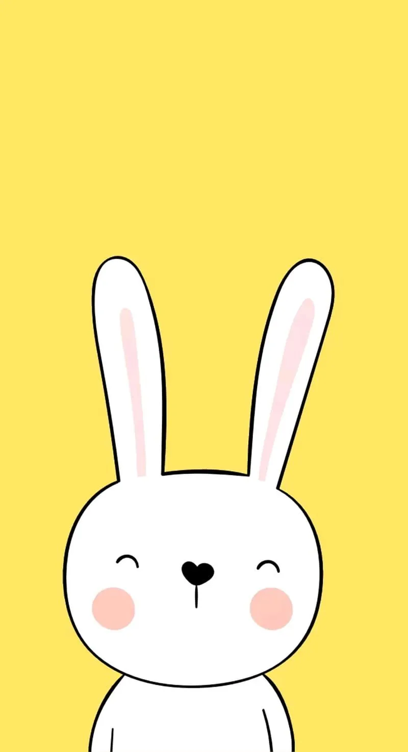 Rabbit, amoled, bunny, life, love, pets, HD phone wallpaper