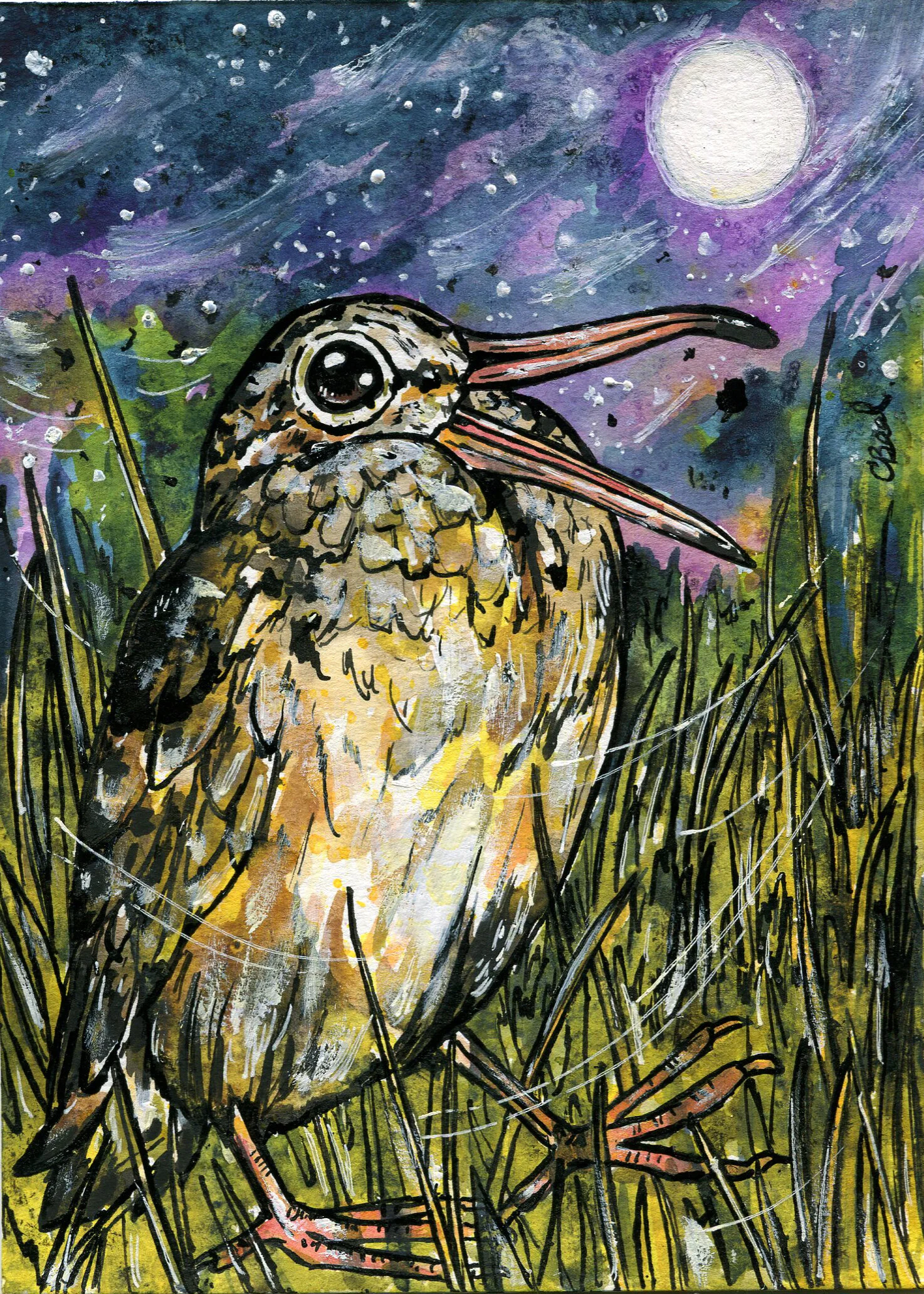 Bird of the Week: American Woodcock