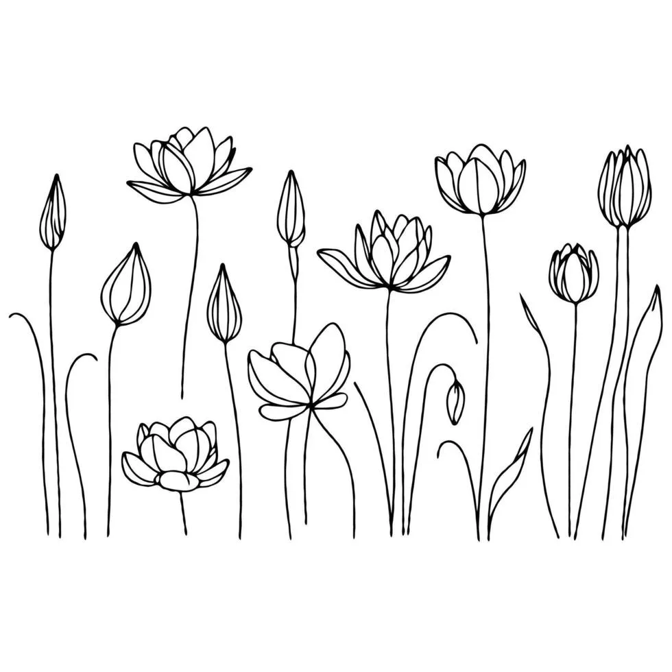 Lotus line art wallpaper illustration. Set outline water lily sketch, doodle floral stems. Hand drawn Botanical drawing. Simple Stylized flowers. Black and White blooming
