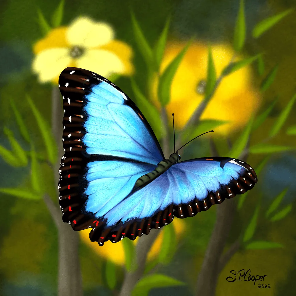SUSAN COOPER, Blue Morpho Butterfly sold at auction from 10th May to 3rd June. Crocker Art Museum