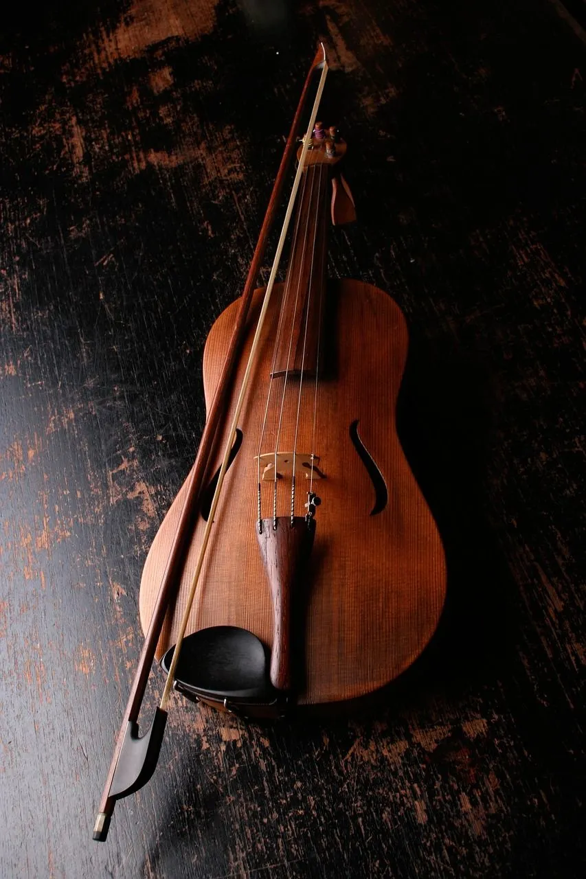 Free Traditional Music Instrument & Music Image