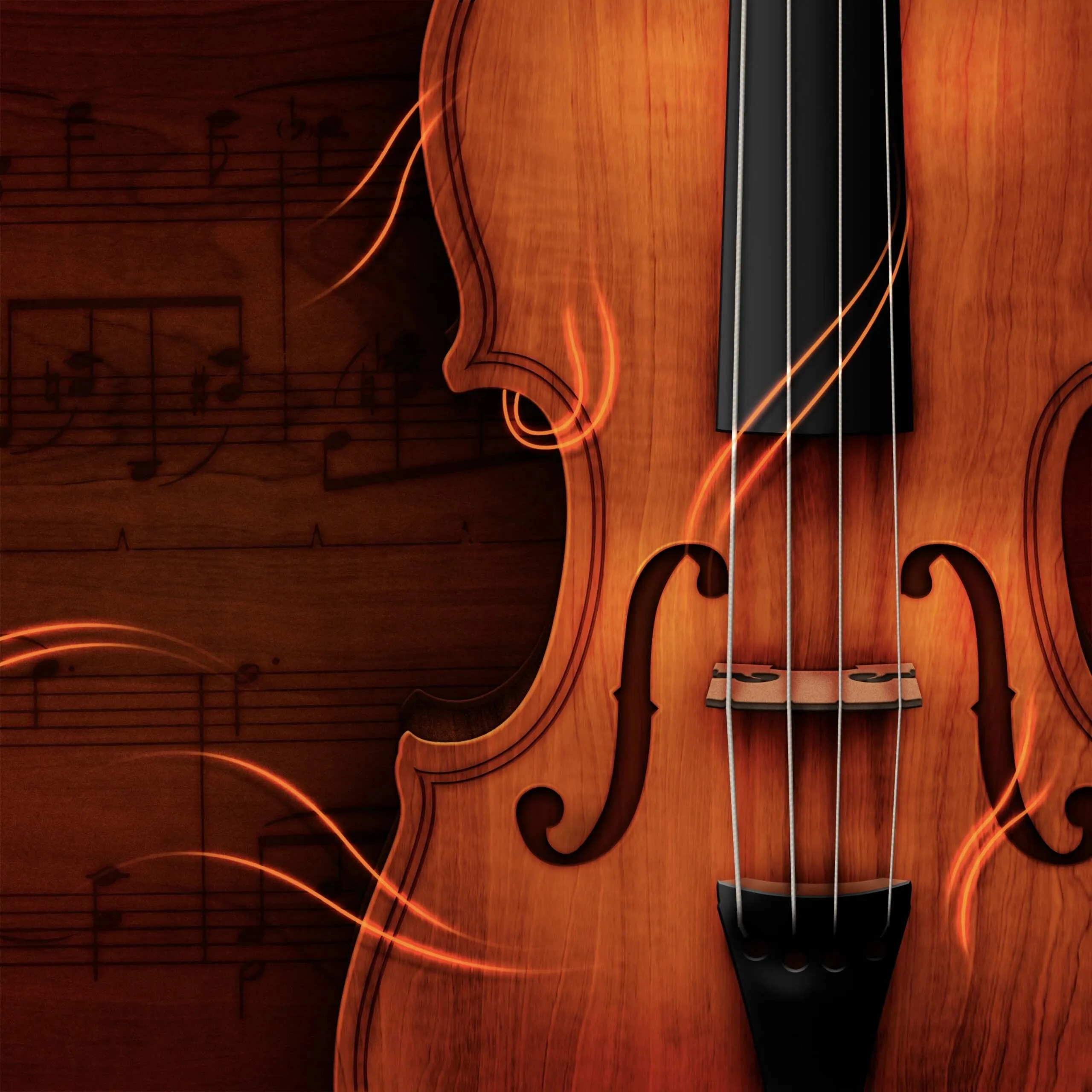 Violin