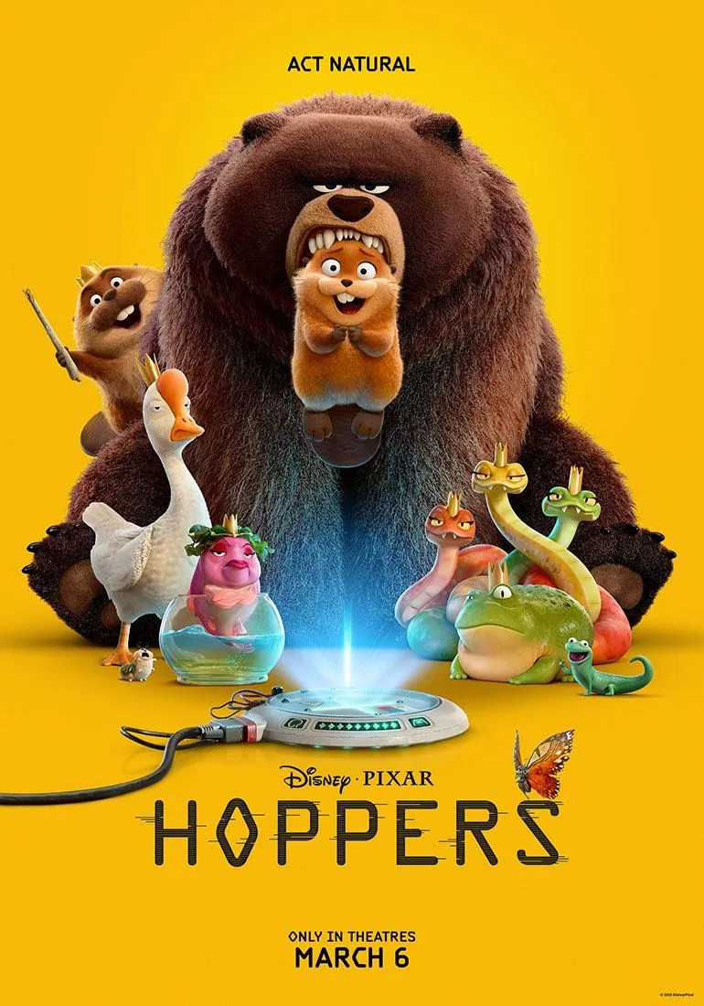 A Geeky Guy's Guide to Hoppers